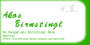 akos birnstingl business card